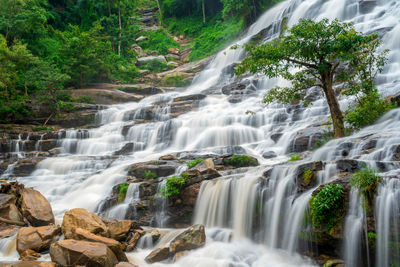 Scenic view of waterfall in forest