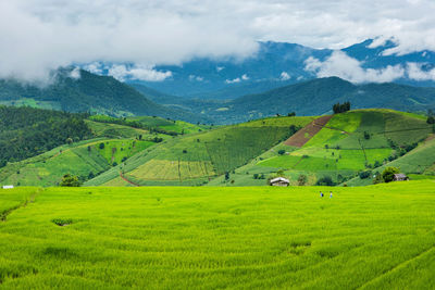 Scenic view of green landscape and mountains against sky