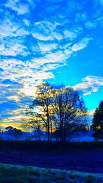 Tree against blue sky