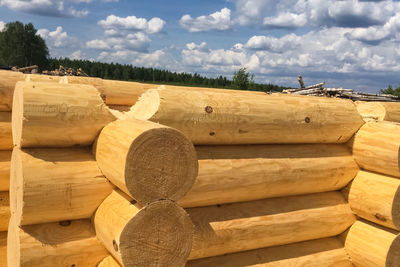 Stack of logs in forest against sky