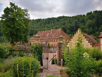 House amidst trees and plants against sky