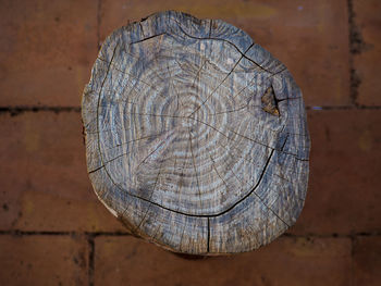 Close-up of tree stump