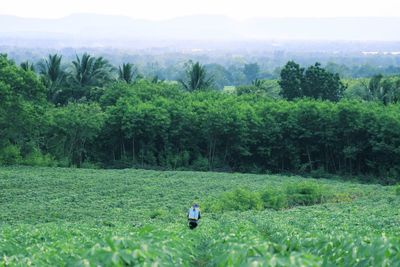 Person on agricultural field against trees