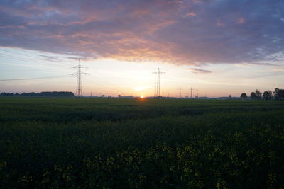 Scenic view of field against sky during sunset