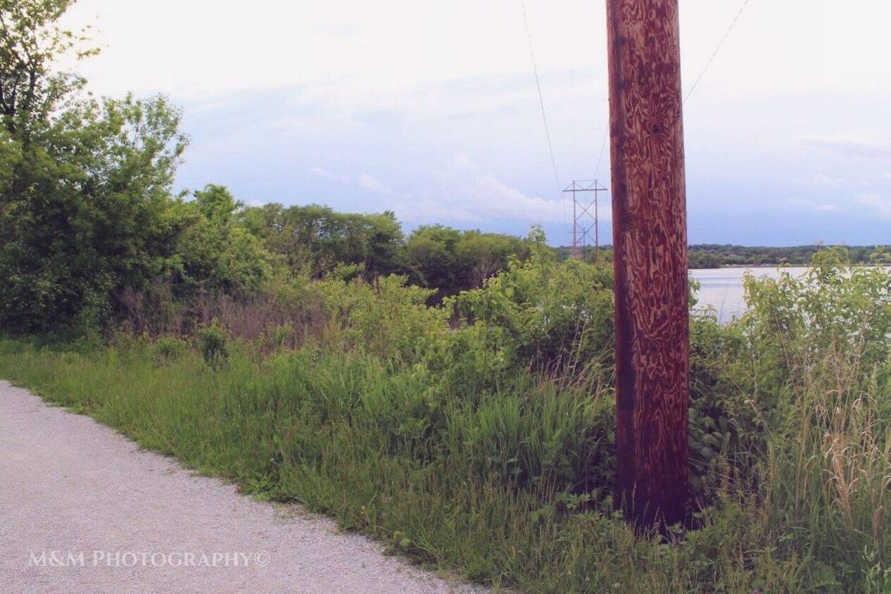 SCENIC VIEW OF TREES ON LANDSCAPE AGAINST SKY