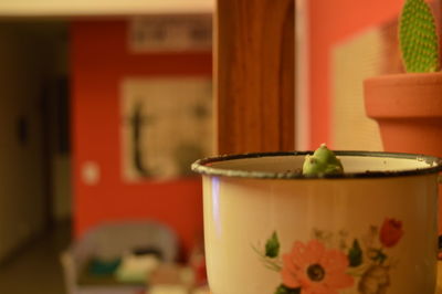 Close-up of drink on table