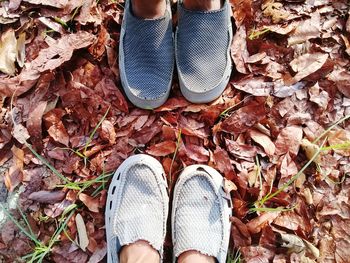 Low section of friends standing on dry leaves