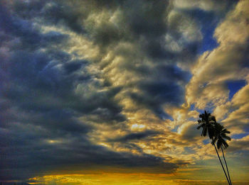 Low angle view of trees against cloudy sky