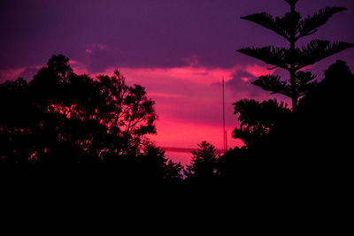 Silhouette trees against sky at night