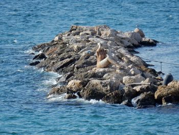 Scenic view of sea and rocks