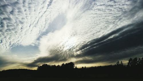 Low angle view of silhouette trees against sky