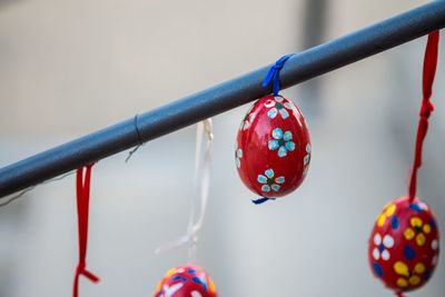 Close-up of multi colored leaves