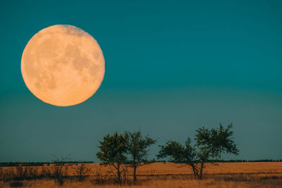 Scenic view of field against clear sky at night