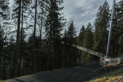 Road amidst trees in forest against sky