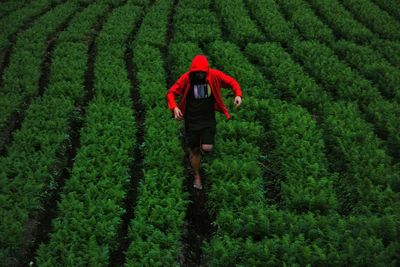 High angle view of man walking amidst field