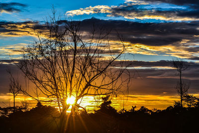 Silhouette trees against dramatic sky during sunset