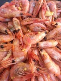 Close-up of fish for sale at market stall