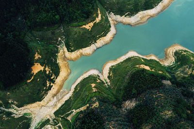 High angle view of sea and trees