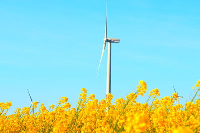 Scenic view of oilseed rape field against clear blue sky with a windmill in background