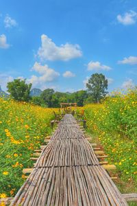 Boardwalk amidst plants on field against sky