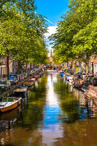 Canal amidst trees against sky