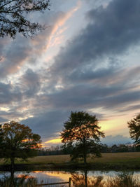 Trees on field against sky during sunset