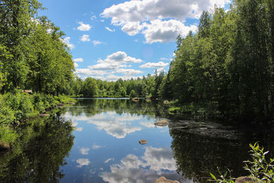 Reflection of trees in lake