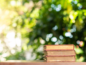 Close-up of books on table