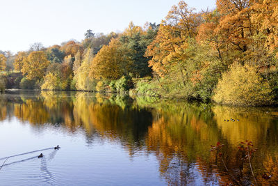 Scenic view of lake by trees against sky