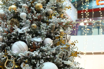 Close-up of christmas tree