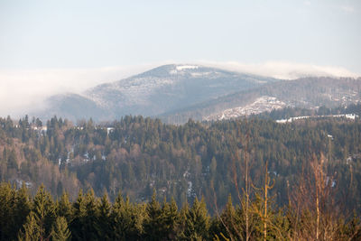 Panoramic view of landscape against sky