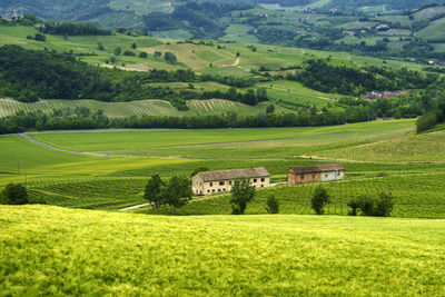 Scenic view of agricultural field by houses and trees