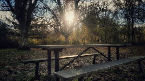 Trees by railing against sky