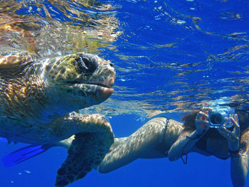 Woman photographing turtle swimming in sea