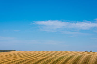 Scenic view of field against clear blue sky