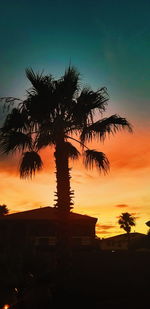Silhouette palm trees against sky during sunset