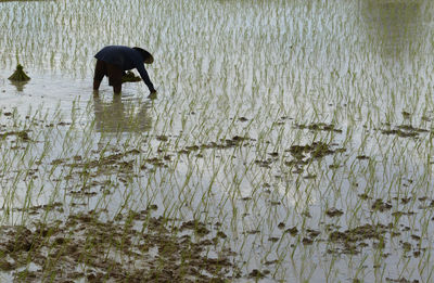 Side view of a farmer at work