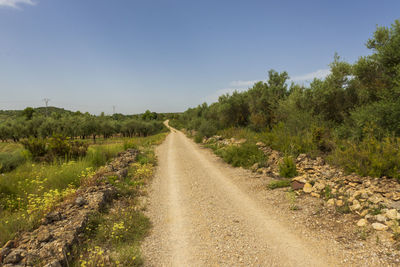Dirt road along plants and trees against sky