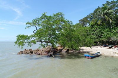 Beach of bangka island