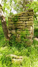View of old ruins
