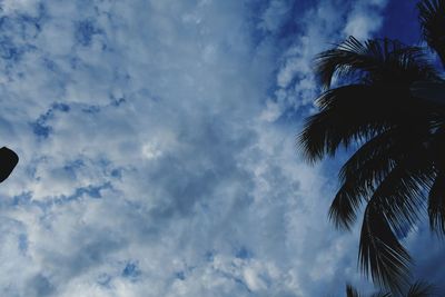 Low angle view of silhouette palm trees against sky