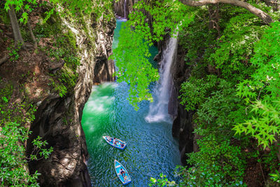 Scenic view of waterfall in forest