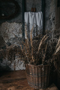 Plants in basket hanging by wall