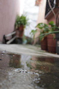 Close-up of wet street in city during rainy season