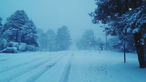 Snow covered road along trees