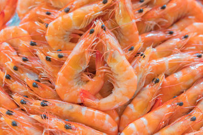 Fresh delicious prawns or steamed shrimp ready to eat seafood thai food.