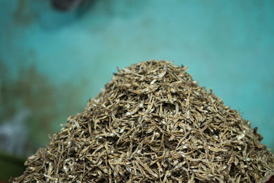 A large pile of dried anchovy fish sold in the market. indonesia.