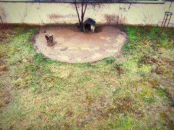 High angle view of toys in yard