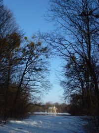 Bare trees on snow covered road against sky