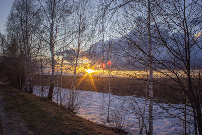 Bare trees on snow covered land during sunset